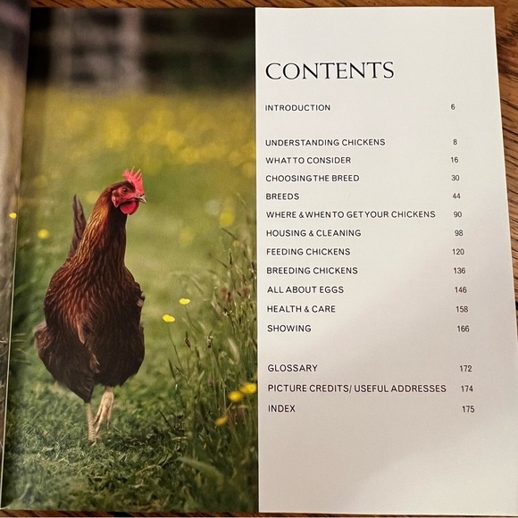 Keeping Chickens, Getting The Best From Your Chickens, Paperback, Illustrated - Picture 7 of 11